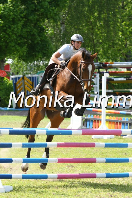 204M4073_Last Samurei_Spring_L.JPG